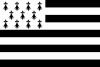 Brittany Flag