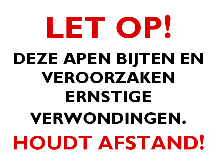 These Monkeys Bite ... in Dutch
