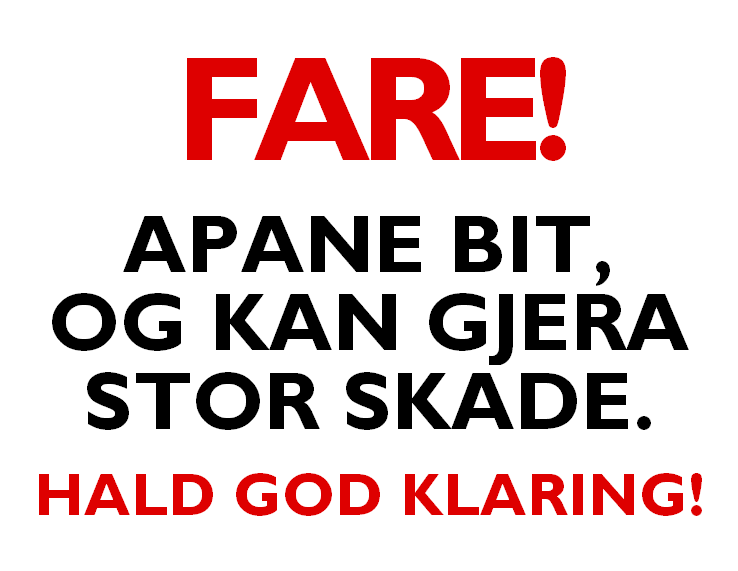 These Monkeys Bite ... in Norwegian_Nynorsk
