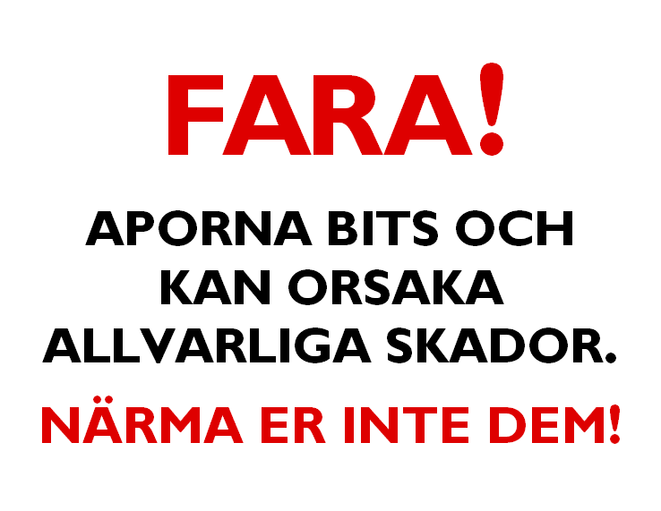 These Monkeys Bite ... in Swedish