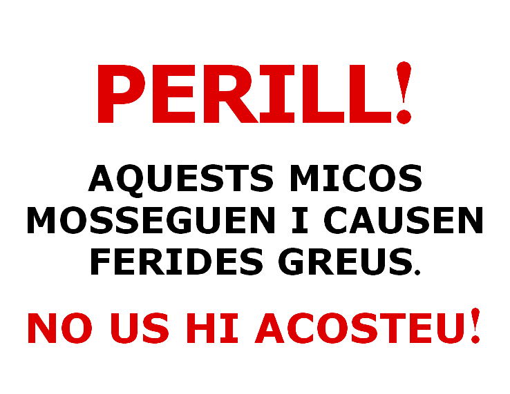 These Monkeys Bite ... in 
