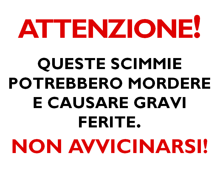 These Monkeys Bite ... in Italian