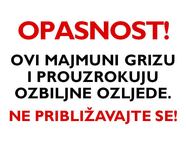These Monkeys Bite ... in Croatian