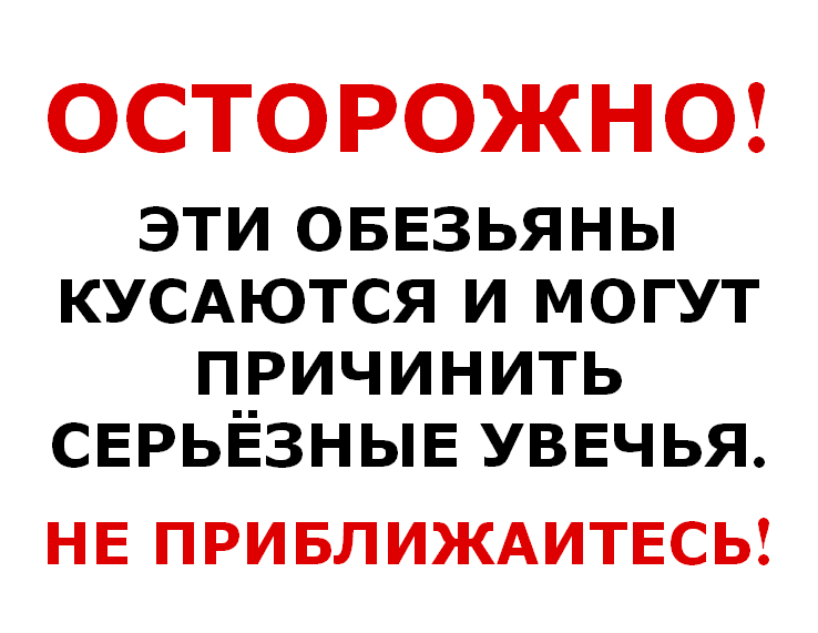 These Monkeys Bite ... in Russian